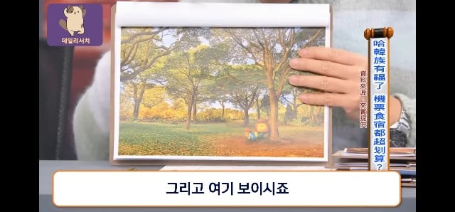 코로나때 더 발전 시켜놨다며 한국 관광업 극찬하는 대만프로