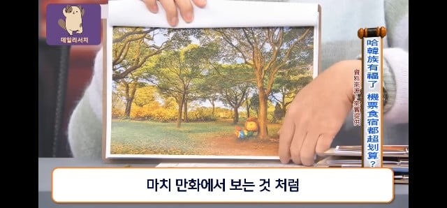 코로나때 더 발전 시켜놨다며 한국 관광업 극찬하는 대만프로