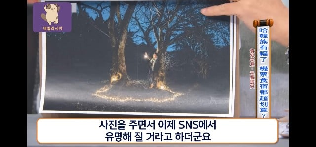 코로나때 더 발전 시켜놨다며 한국 관광업 극찬하는 대만프로
