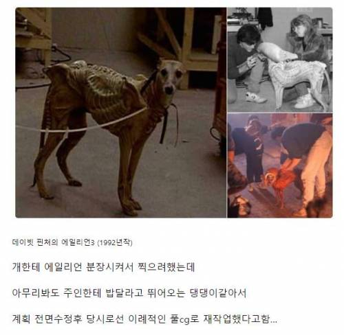 너무 개같아서 삭제된 영화 속 장면.jpg
