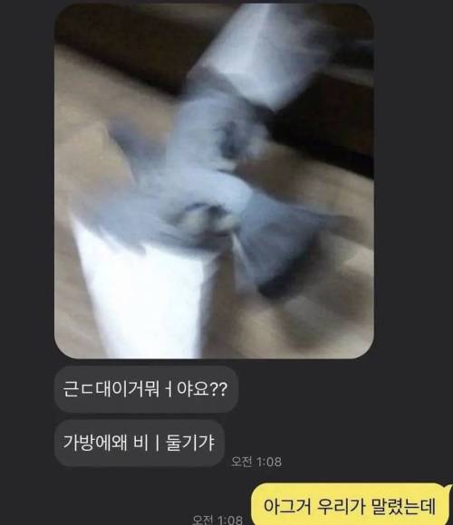 ??? : 우리는 말렸어