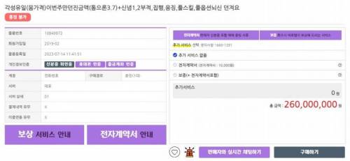 매물로 올라온 2억 6천만원짜리 게임 케릭터.jpg