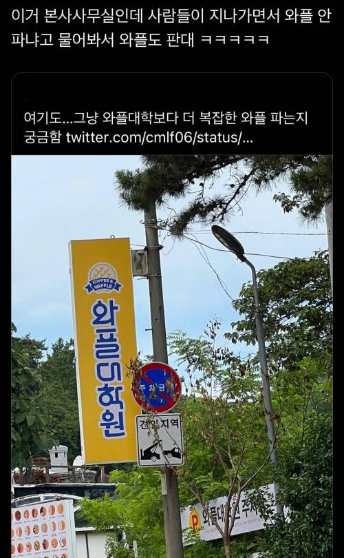 와플 대학 본사 근황