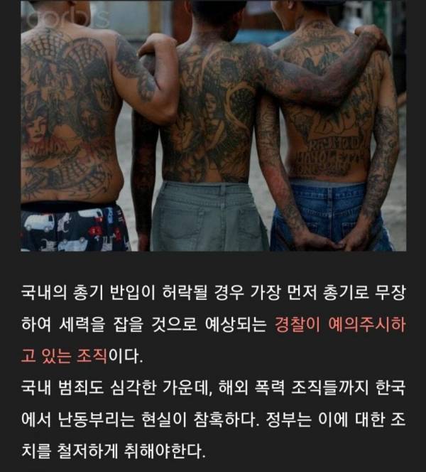 우리나라에 있는 외국조폭들