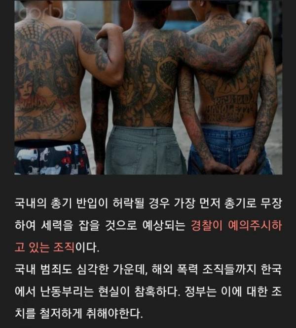 우리나라에 있는 외국조폭들