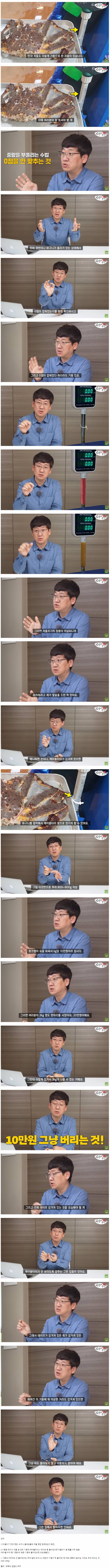 수산시장 갔을 때 저울치기 구별하는 방법