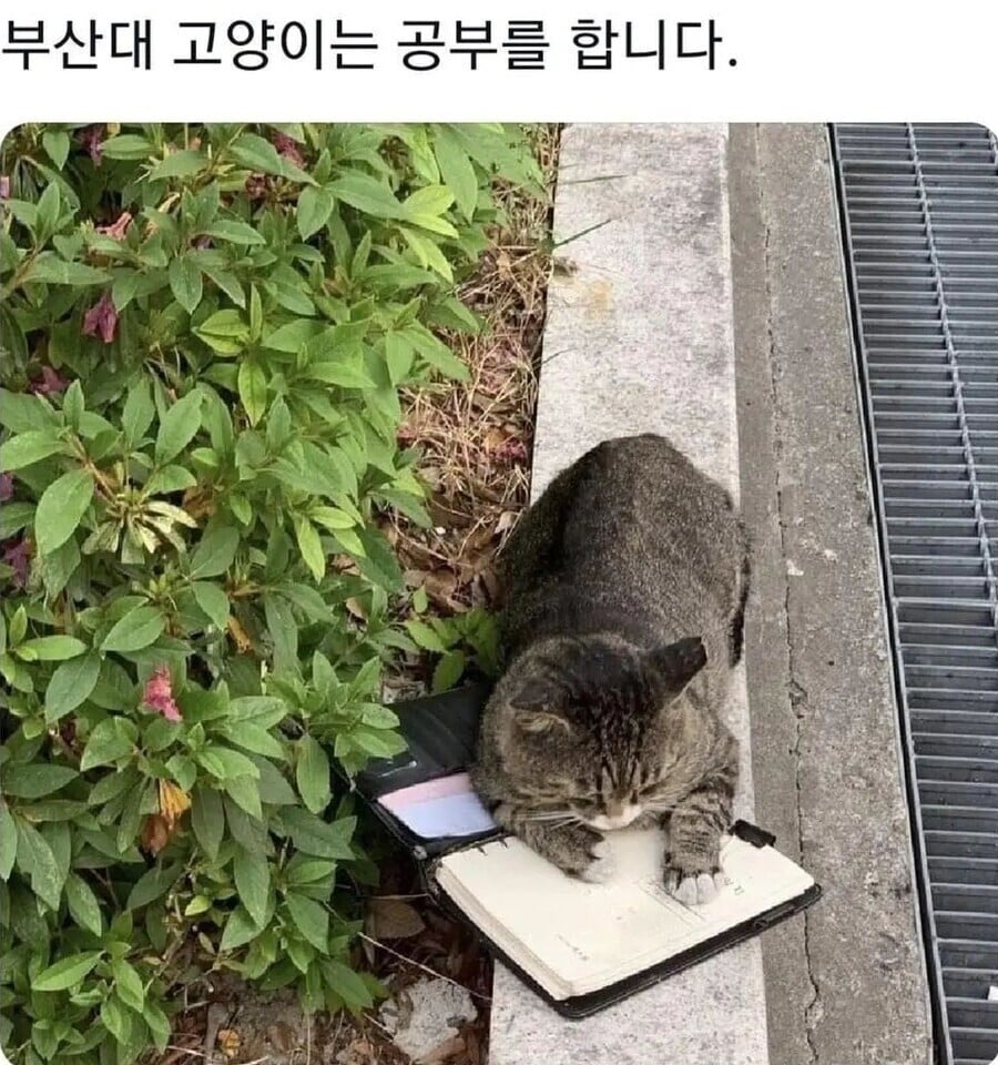 대학별 특징.jpg