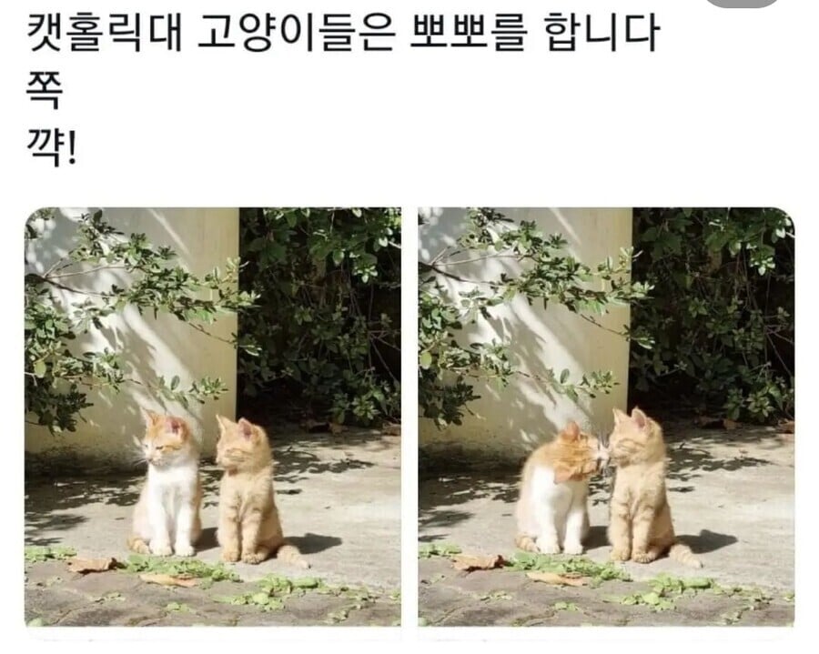 대학별 특징.jpg