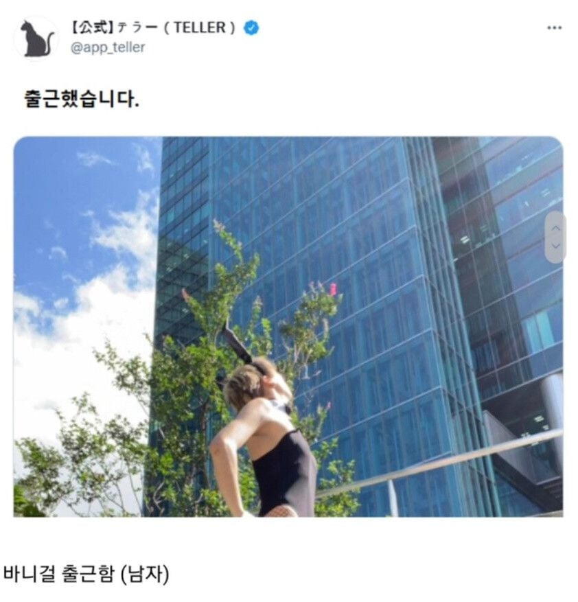 바니걸 공약을 건 트위터 유저.jpg
