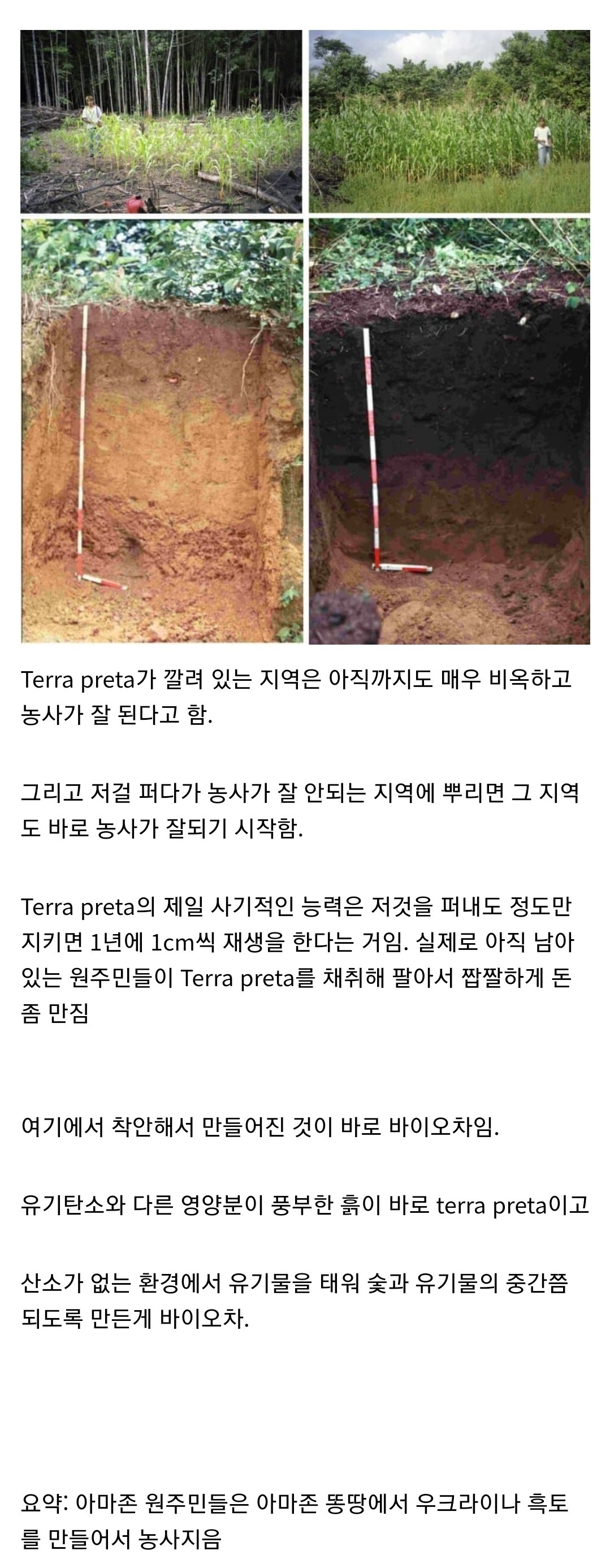 아마존 원주민이 만든 인공배양토