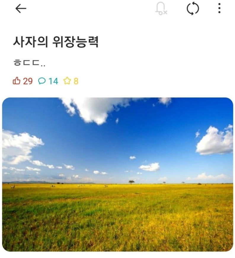 사자의 ㅎㄷㄷ한 위장능력