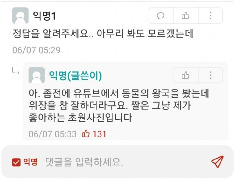 사자의 ㅎㄷㄷ한 위장능력