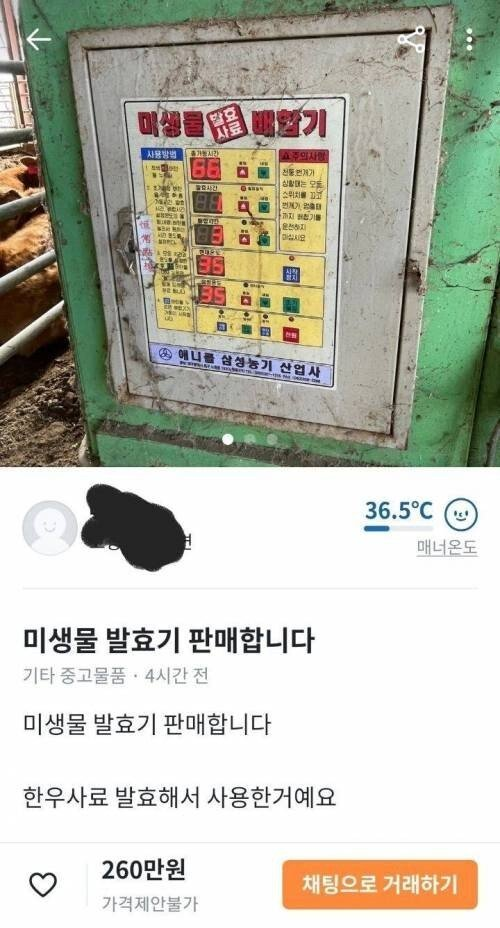 도시와는 좀 다른 시골의 당근.jpg