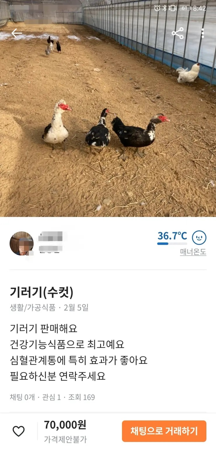 도시와는 좀 다른 시골의 당근.jpg