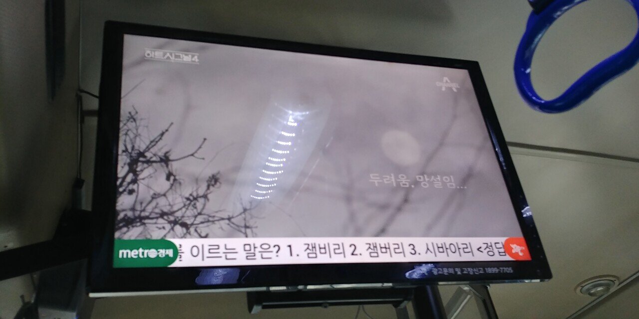 잼버리로 세무조사 받을 것 같은 서울버스 광고업체