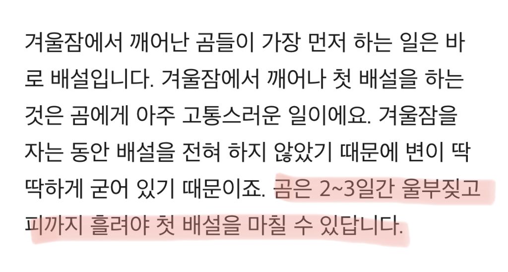 와 곰들 겨울잠 자는 거 부러웠는데 갑자기 안 부러워짐