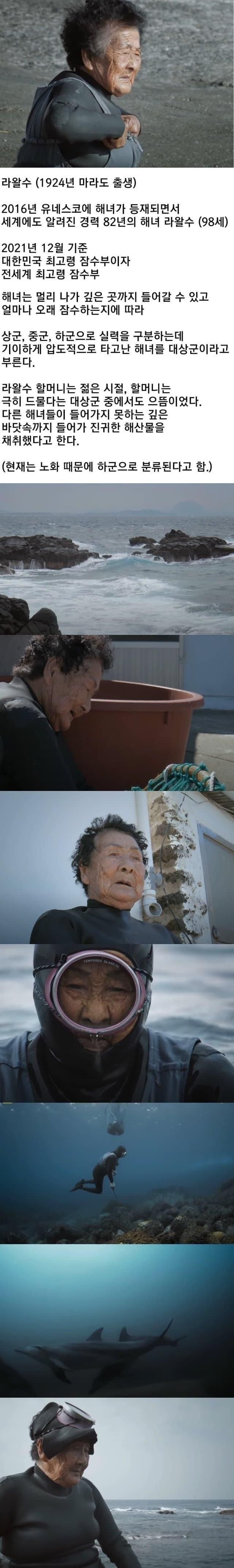 한직장 경력 82년.