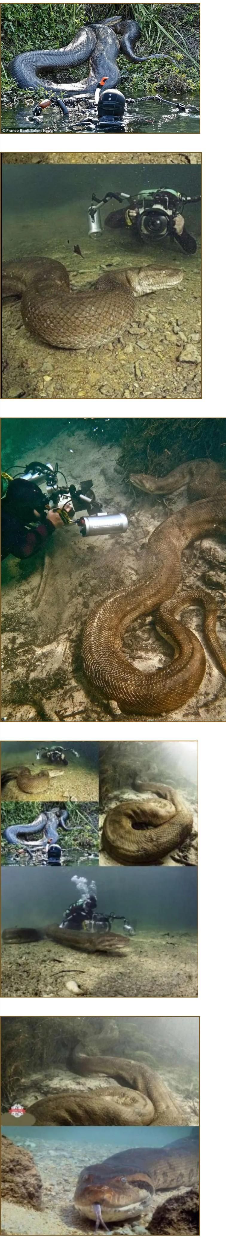 억대 연봉이라는 카메라맨