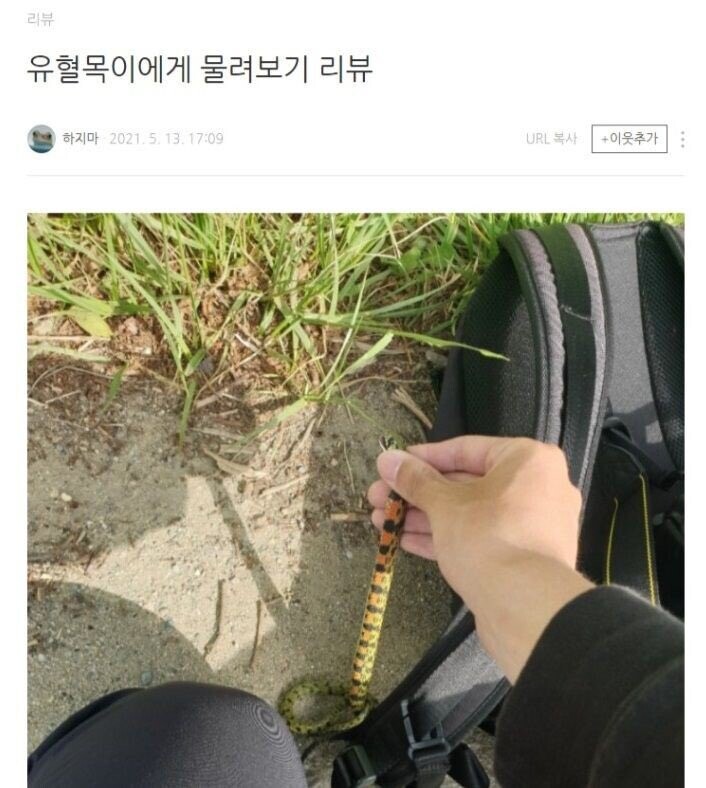 고전] 괜찮아 안 죽어.jpg