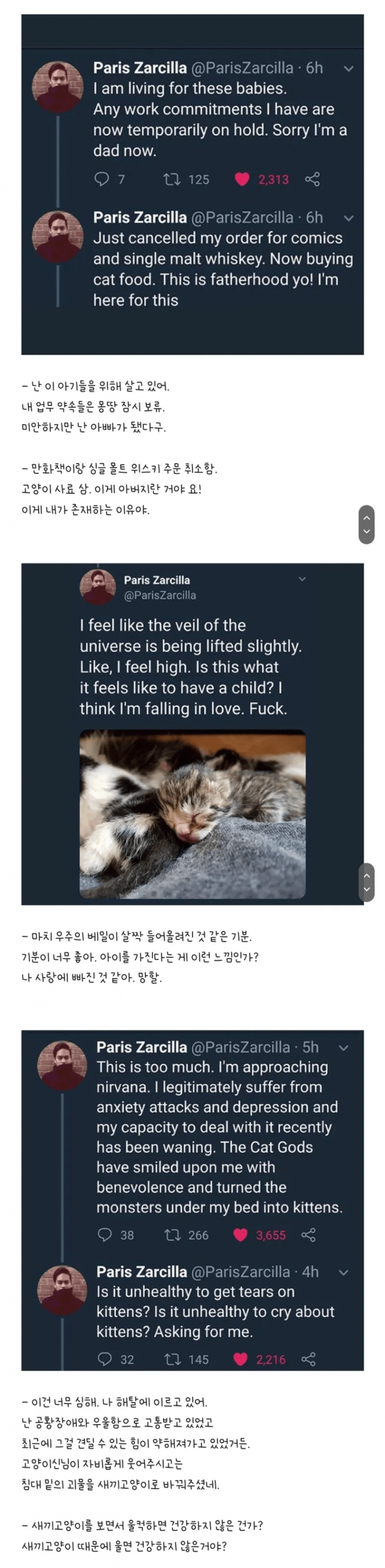 우울증 환자 집에 고양이 가족이 무단침입.jpg