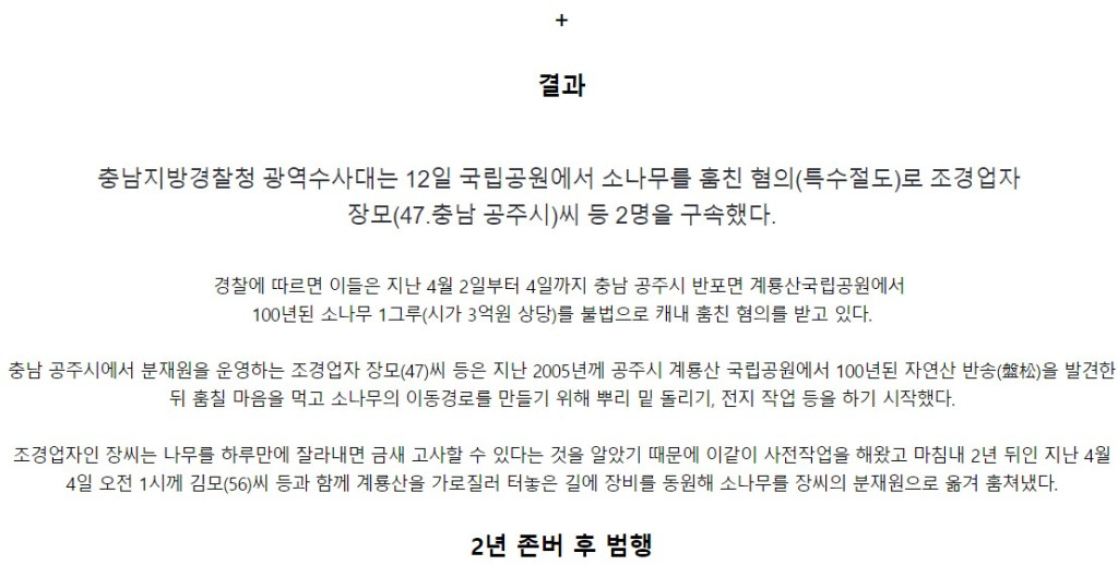 하룻밤새 사라진 100년 된 소나무