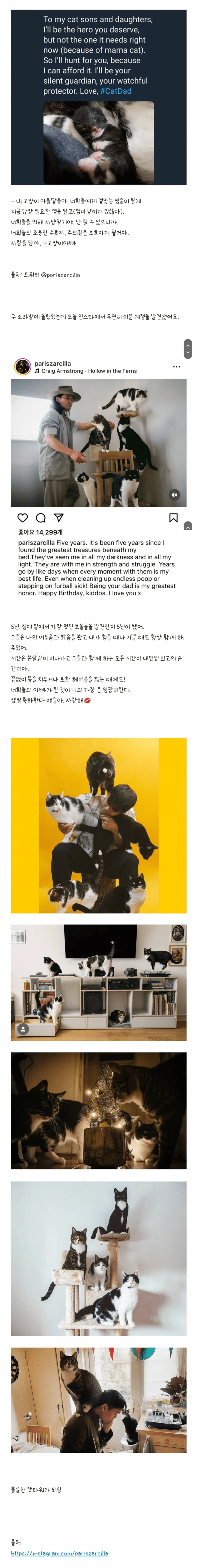 우울증 환자 집에 고양이 가족이 무단침입.jpg