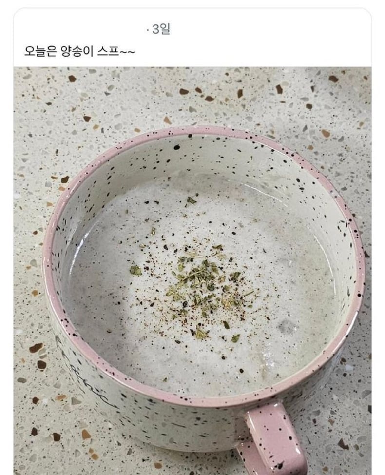 보호색의 보호색의 보호색.jpg