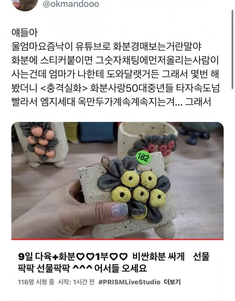 어머니들의 고인물 경매장