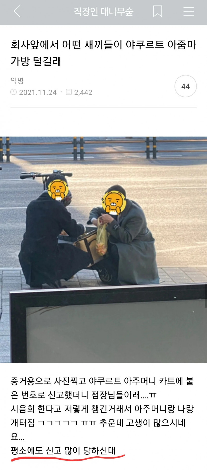 회사 앞에서 누가 야쿠르트 아줌마 가방 털길래.jpg