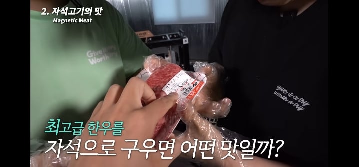 이과생은 얘기 듣자마자 된다고 장담하는 자석으로 고기 굽기