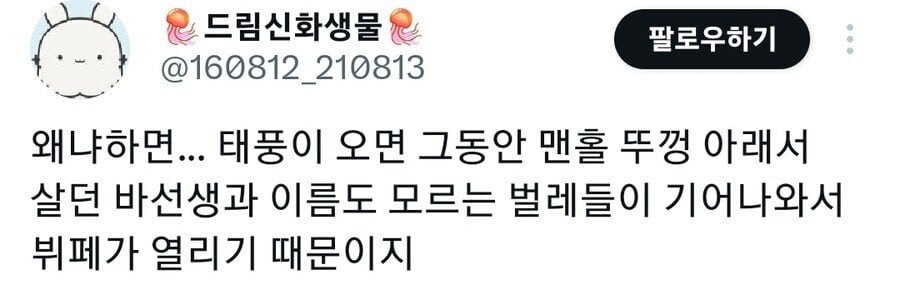 🐦‍⬛까마귀 무료 식사 오픈런.jpg