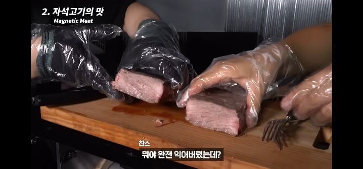 이과생은 얘기 듣자마자 된다고 장담하는 자석으로 고기 굽기