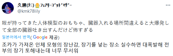 조카가 가져온 인체모형 장난감