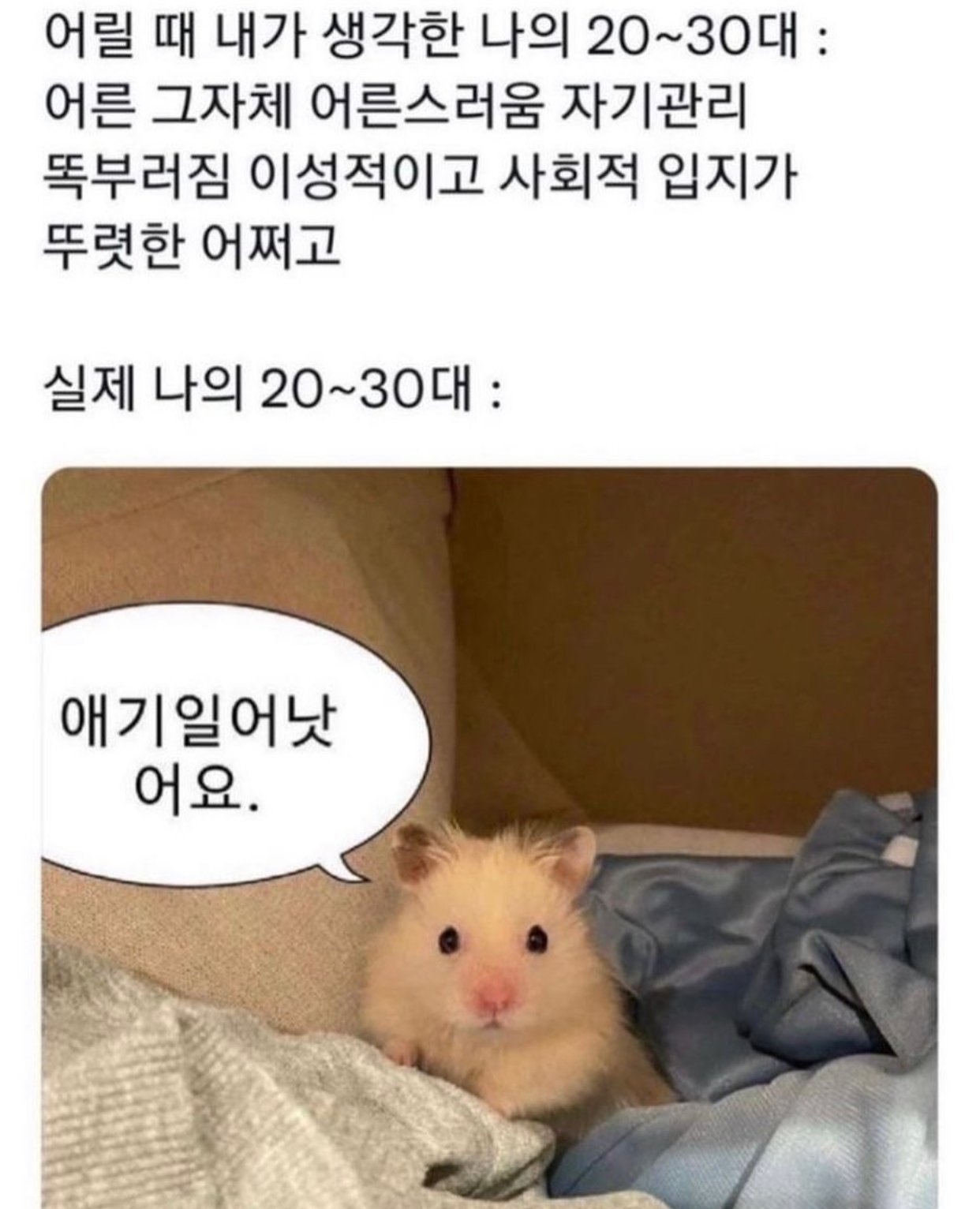 어릴 때 생각한 나의 2~30대.jpg