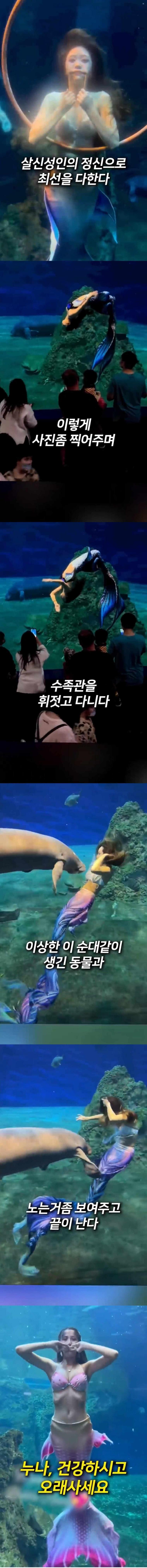 극한직업 아쿠아리움 인어공주 알바 ㄷㄷ