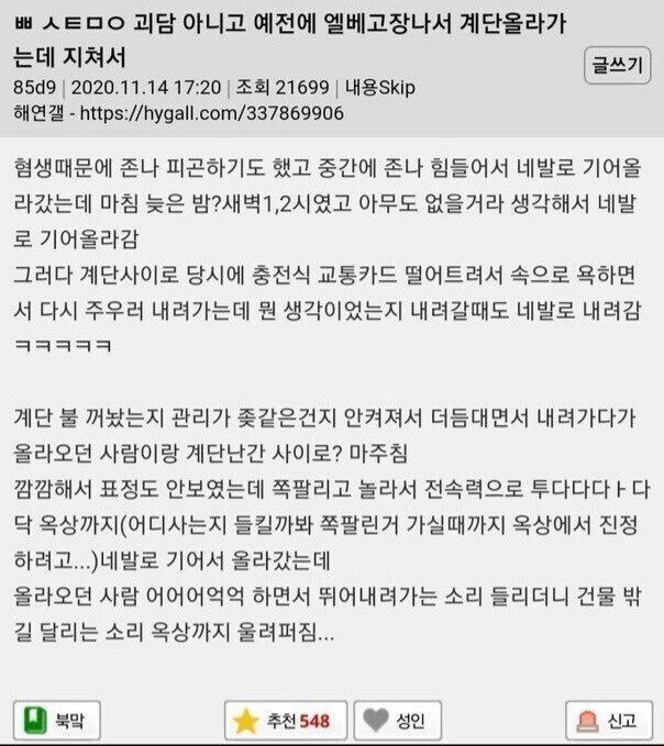 두고두고 회자되는 도시괴담