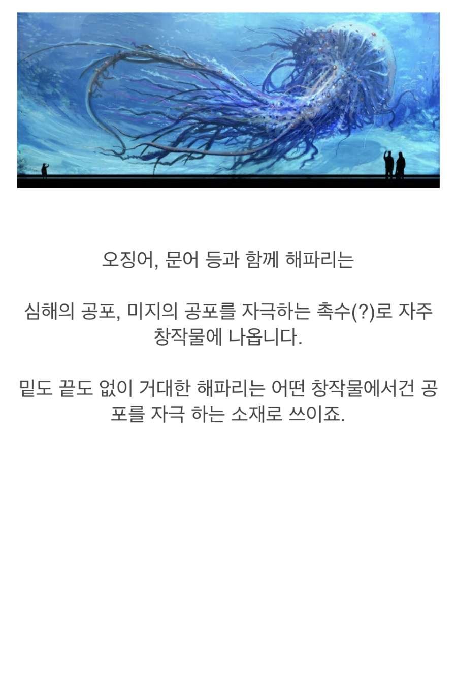 ?심해 해파리에 대한 환상과 진실