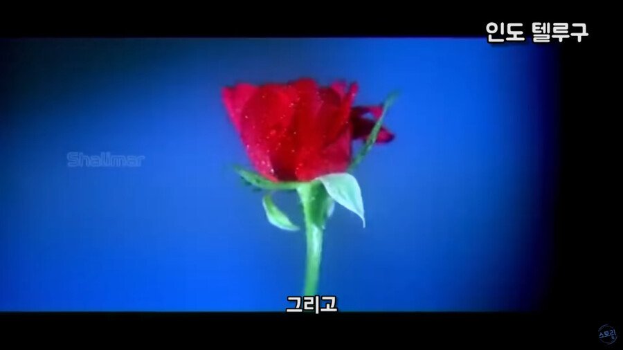 엽기적인 그녀 인도판.jpg