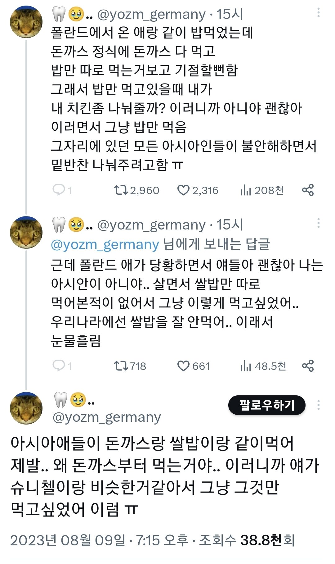 나는 아시안이 아니다. 니들은 돈까스 먹을줄을 모른다