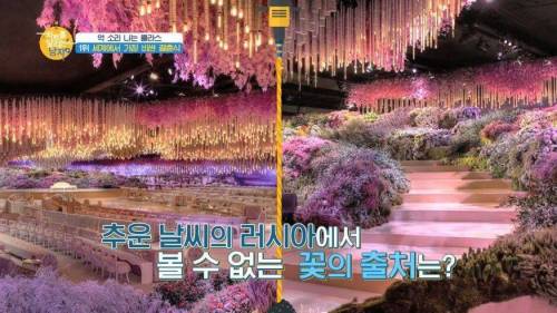 세계에서 가장 돈이 많이 들어간 결혼식.jpg