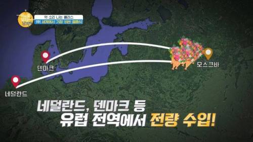 세계에서 가장 돈이 많이 들어간 결혼식.jpg