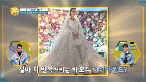 세계에서 가장 돈이 많이 들어간 결혼식.jpg