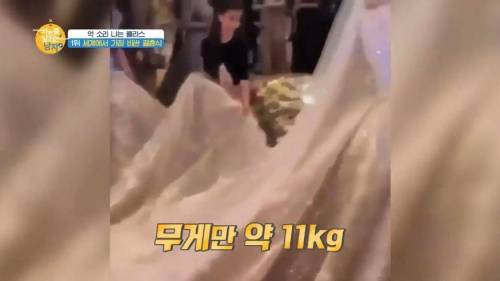 세계에서 가장 돈이 많이 들어간 결혼식.jpg