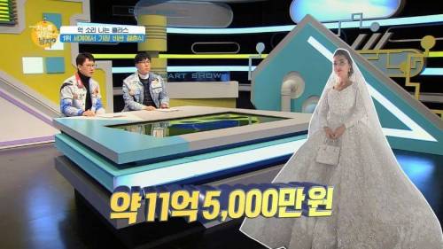 세계에서 가장 돈이 많이 들어간 결혼식.jpg