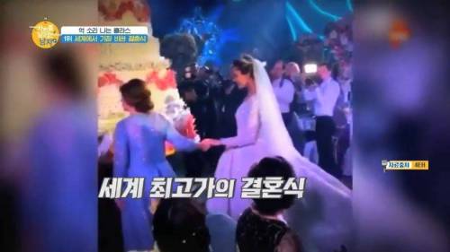 세계에서 가장 돈이 많이 들어간 결혼식.jpg