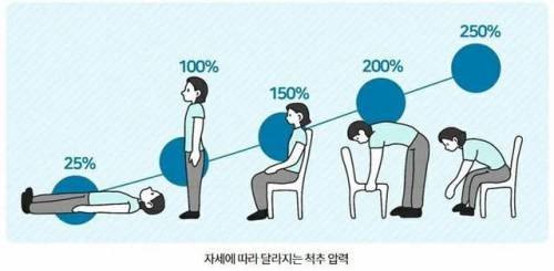 하리에 가장 좋은 자세