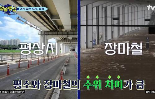 한강은 외국과 다르게 공원이 주거지역과 큰 도로로 분리된 이유.jpg