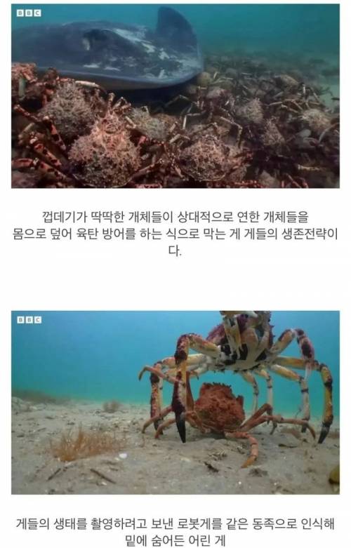 지들끼리 감싸주려고 난리난 