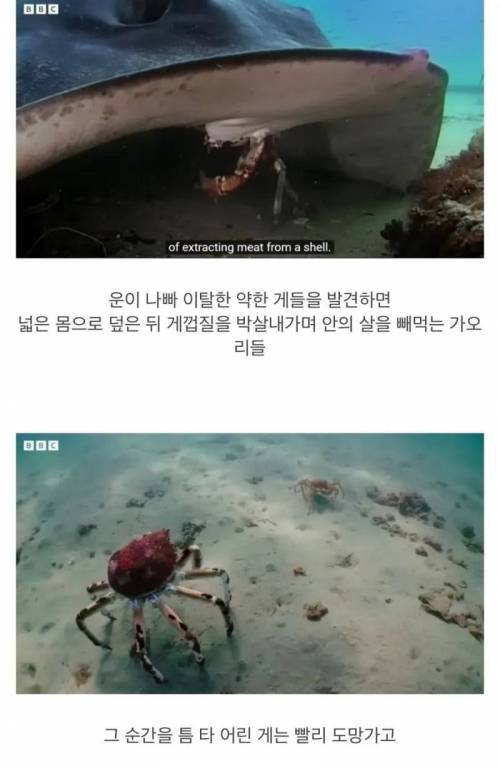 지들끼리 감싸주려고 난리난 