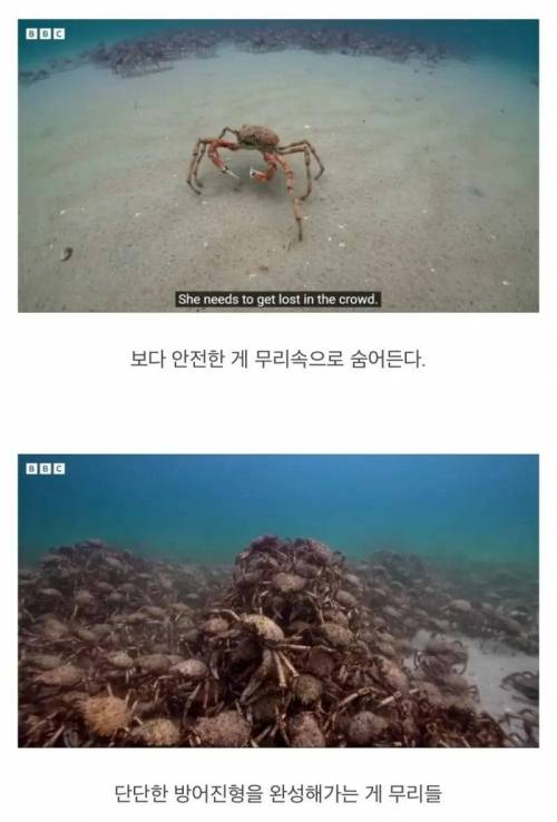 지들끼리 감싸주려고 난리난 